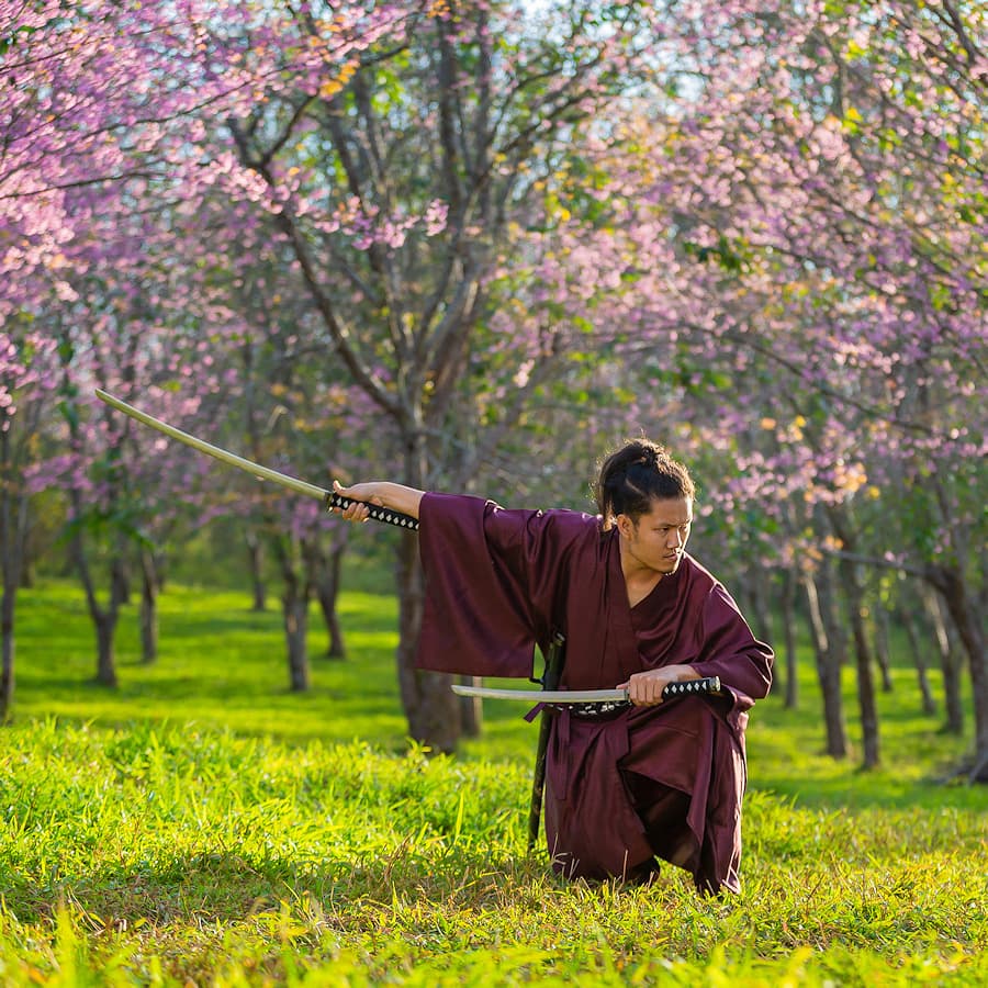 Pratiquant d'art martial utilisant un katana et un wakizashi Pratiquant d'art martial utilisant un katana et un wakizashi