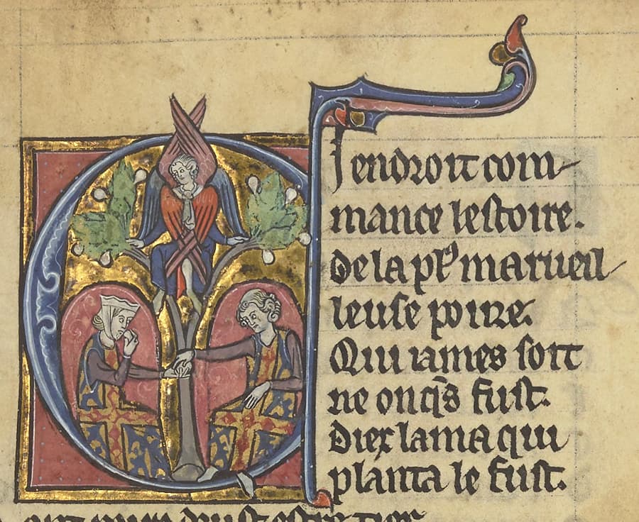 Ci endroit commence l'histoire | De la plus merveilleuse poire | Qui jamais soit, ni jamais ne fut | Dieu l'aima qui en planta le fût. | #Terressens