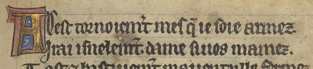 À ce tournoi(ement), mais que je sois armé.J'irai promptement, Dame, si vous m'aimez. | folio 9r° - vers n°181 & 182 | #Terressens