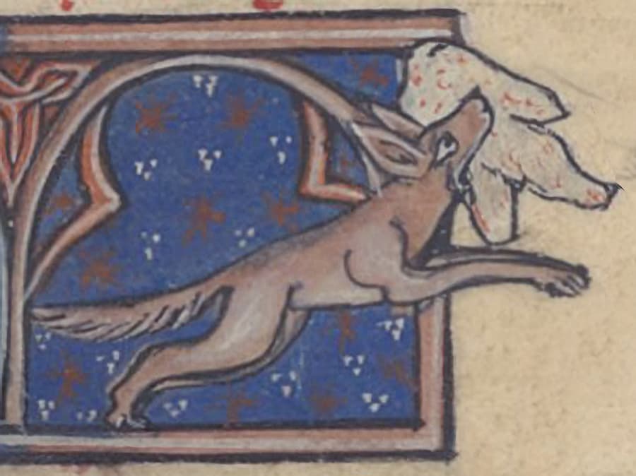 « Renart en plein larcin » in Li brance de Renart - FR 1851 folio 23r°