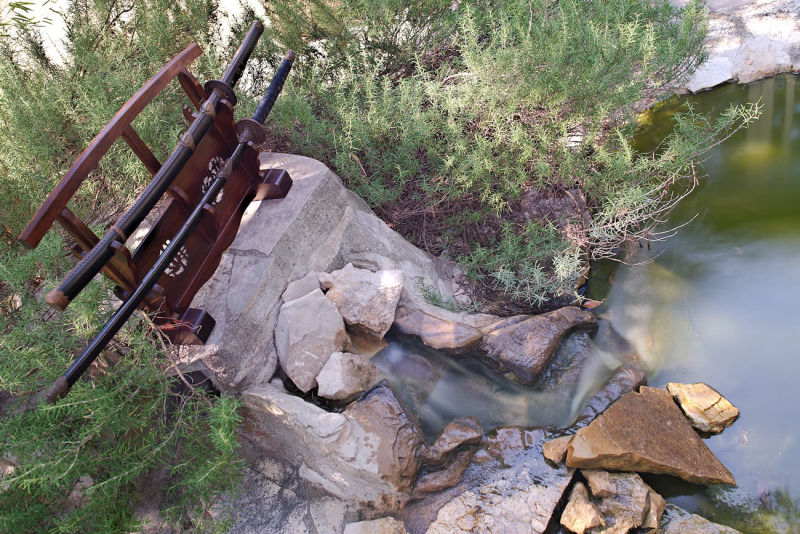 Tachis (portés à cheval) #Terressens